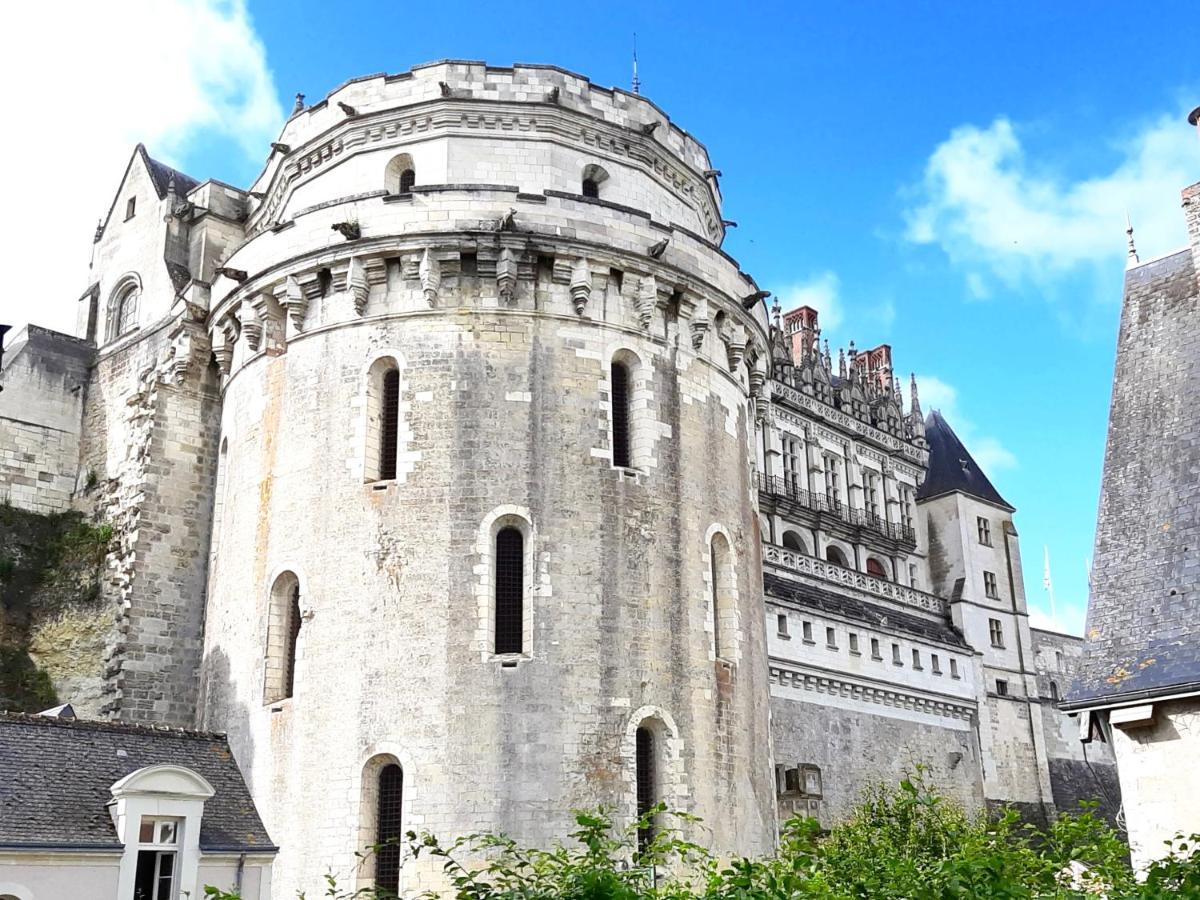 En Plein Coeur : Charmant Gite Centre Amboise Zewnętrze zdjęcie