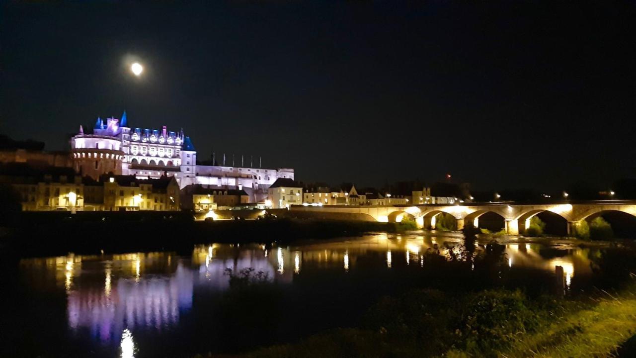 En Plein Coeur : Charmant Gite Centre Amboise Zewnętrze zdjęcie